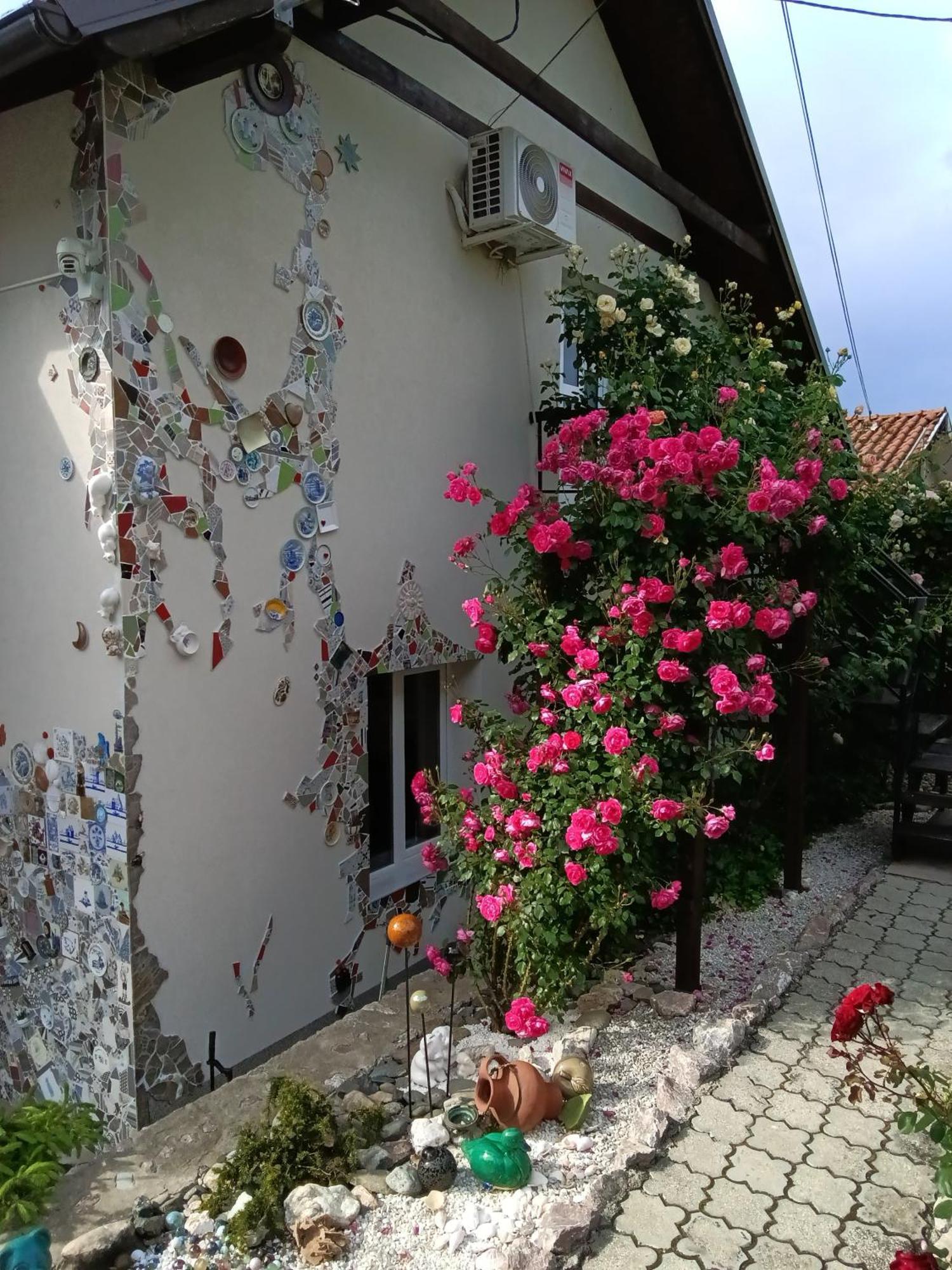 Apartment Cats Donji Milanovac Exterior photo