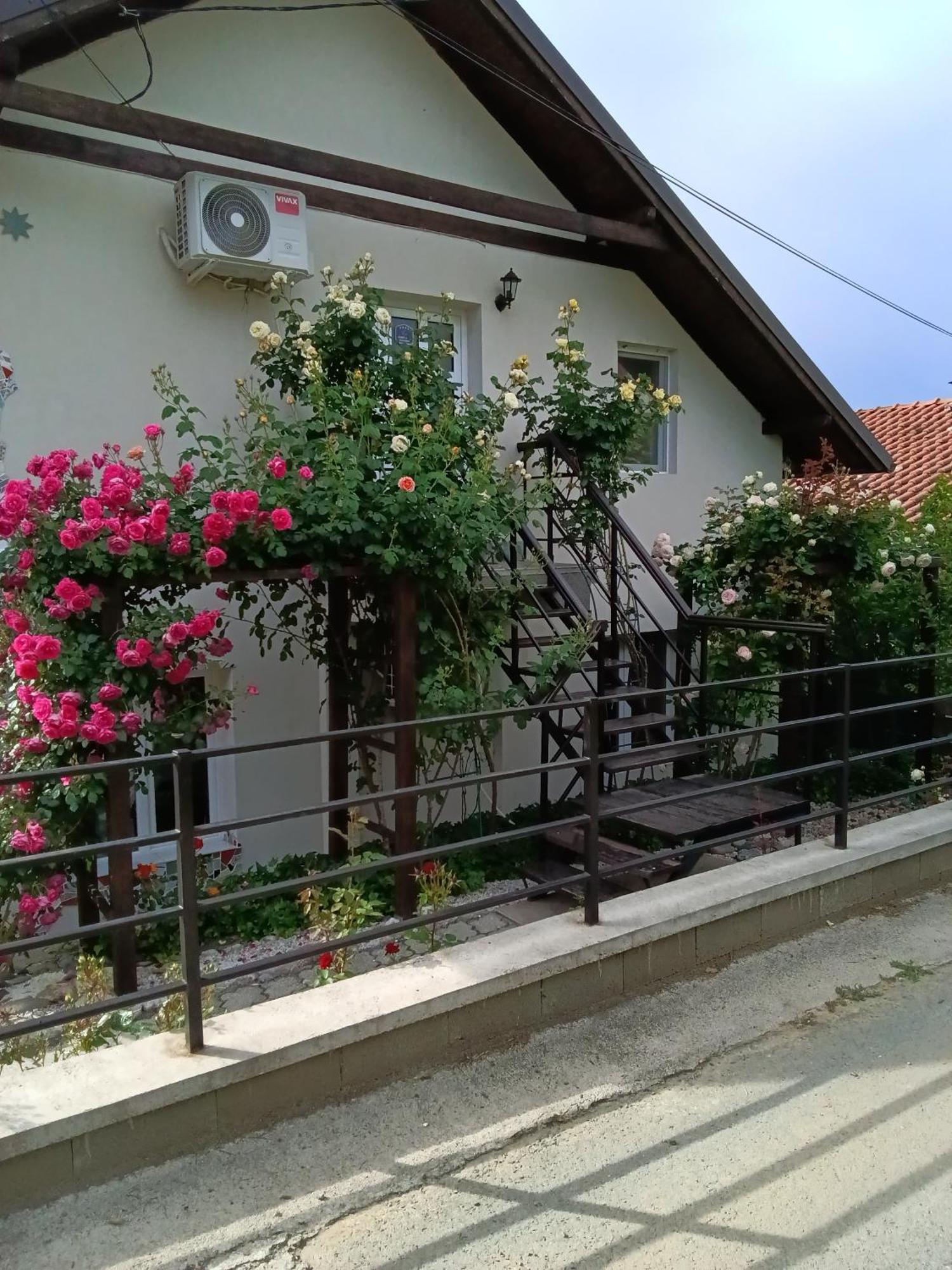 Apartment Cats Donji Milanovac Exterior photo